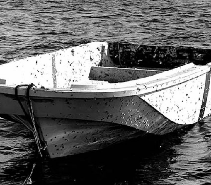Boston Whaler Historical image