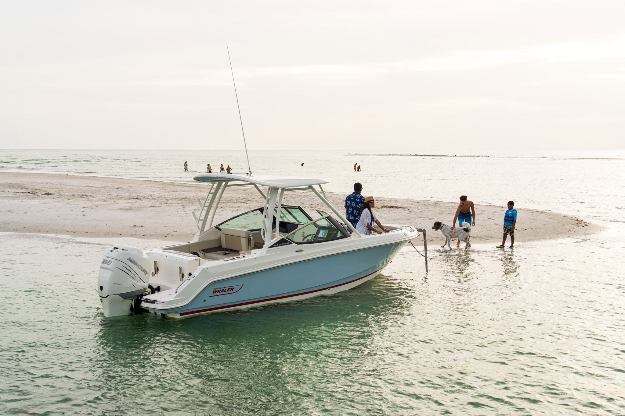 Boston Whaler 240 Vantage