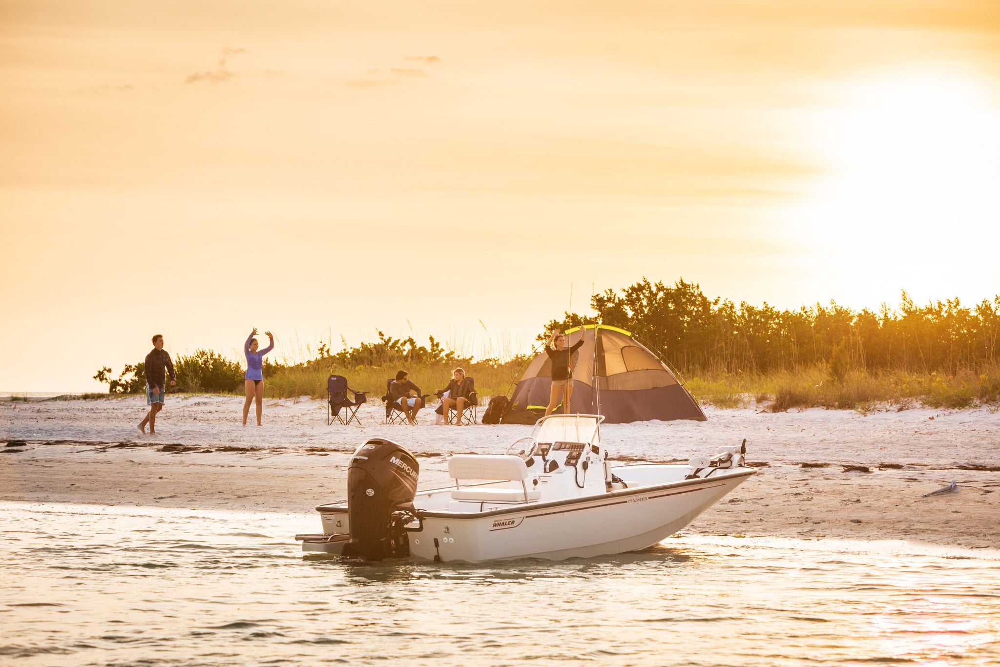 Boston Whaler Montauk