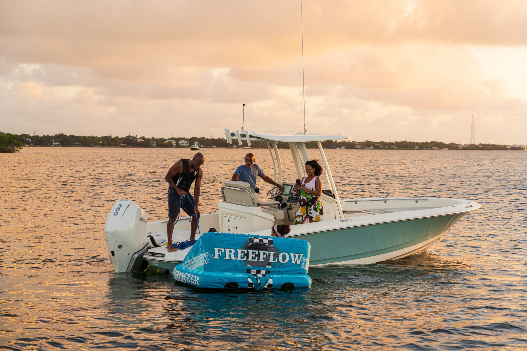 Boston Whaler 250 Dauntless