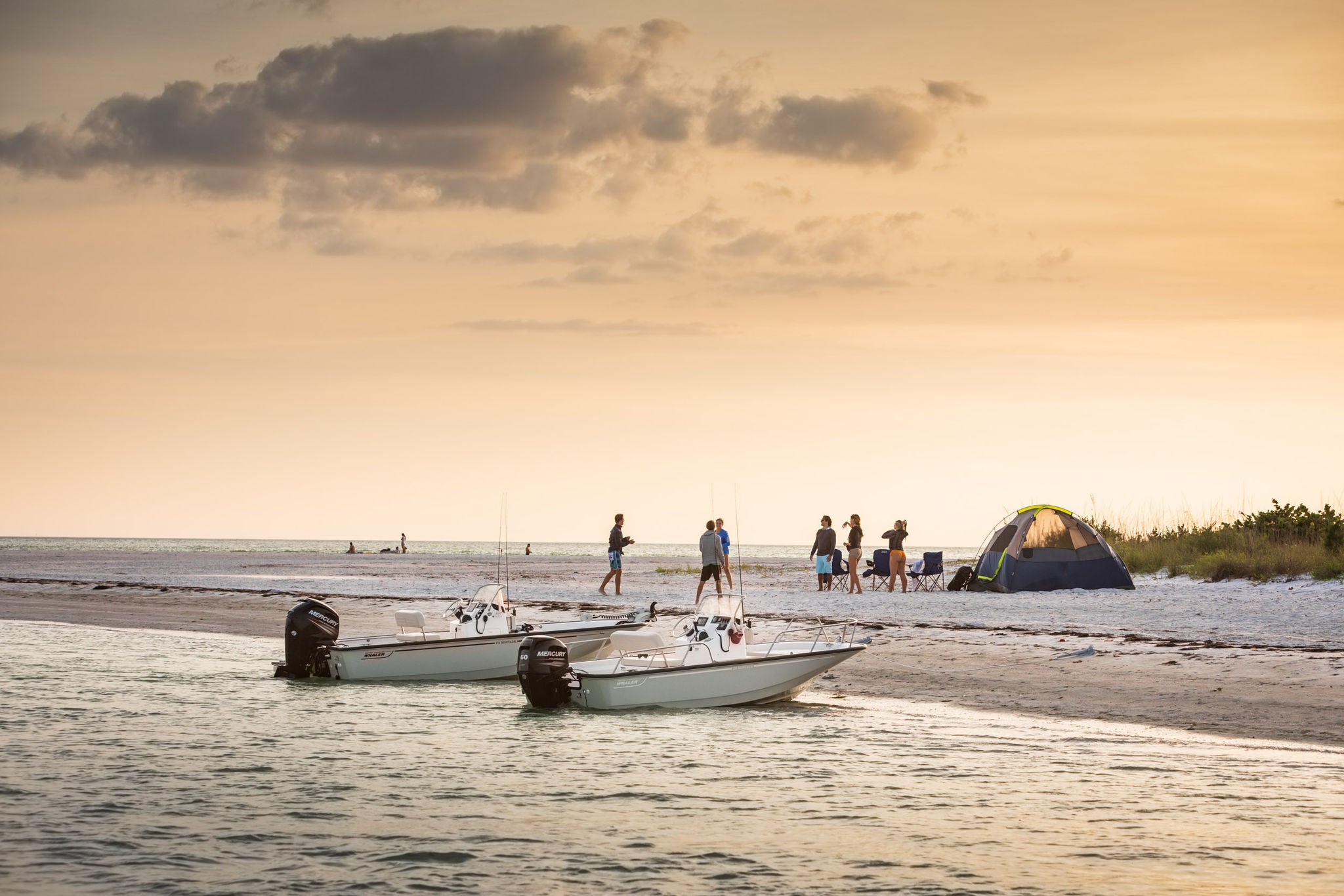 Boston Whaler Montauk