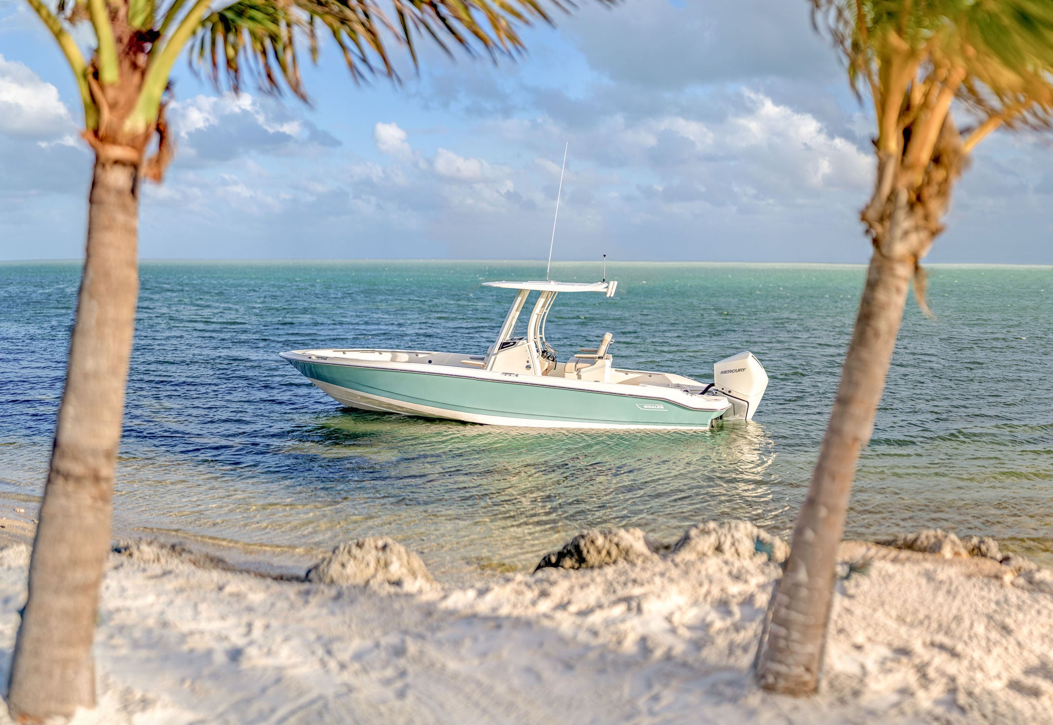 Boston Whaler 250 Dauntless Lifestyle