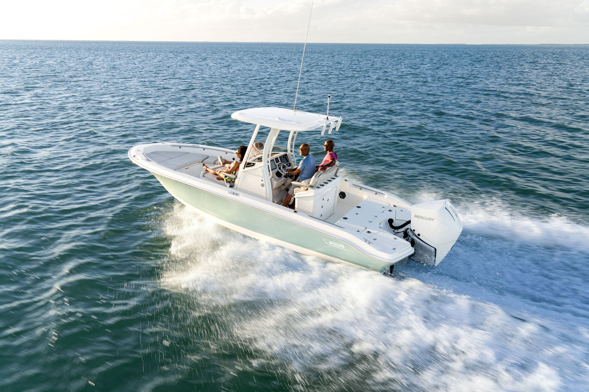 Boston Whaler 250 Dauntless Lifestyle