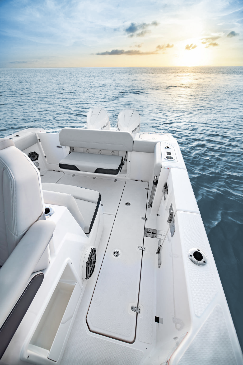 Boston Whaler 290 Outrage Lifestyle