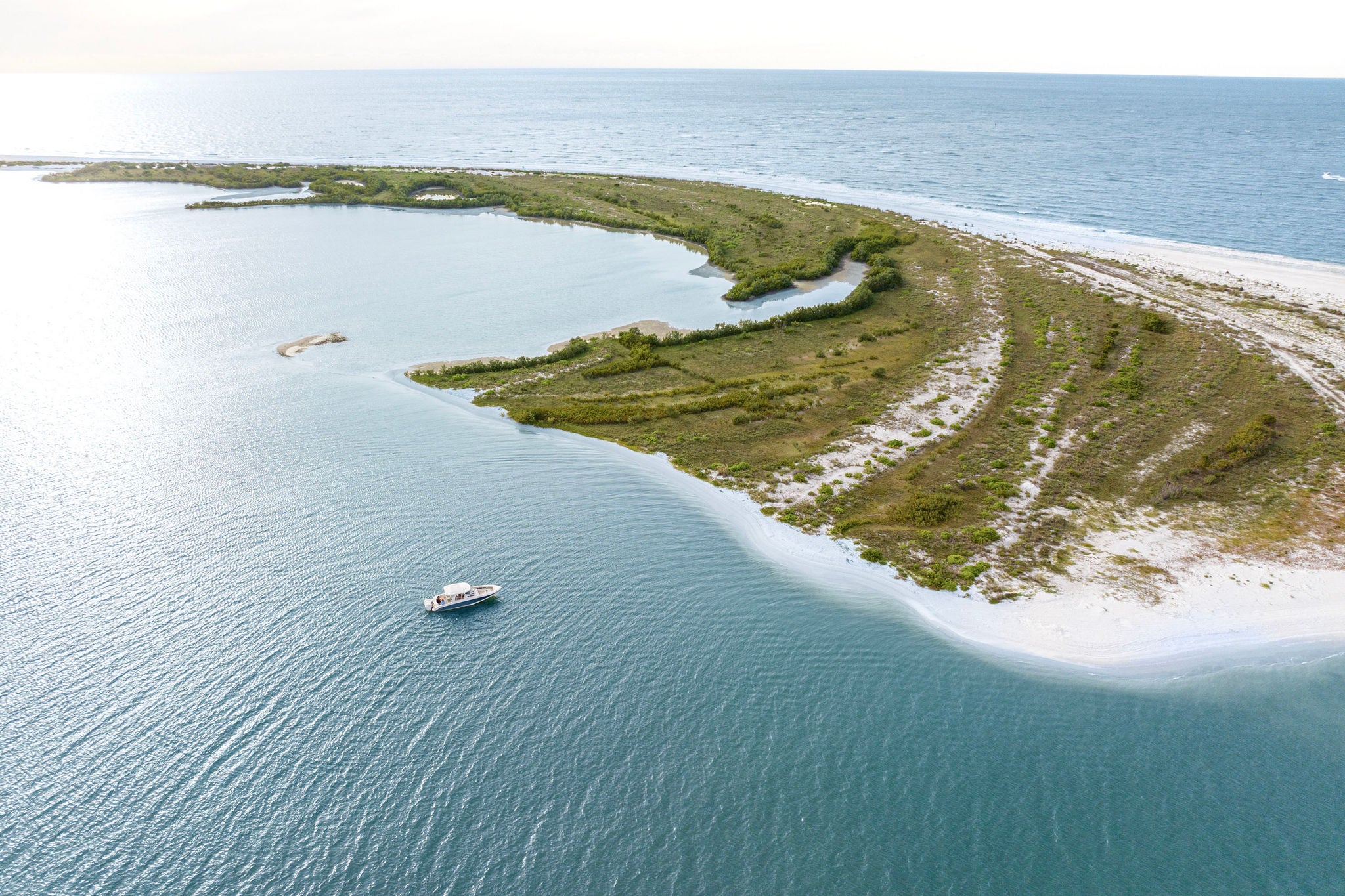 Boston Whaler 350 Realm