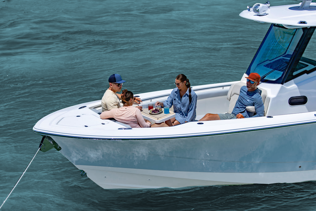 Boston Whaler 290 Outrage