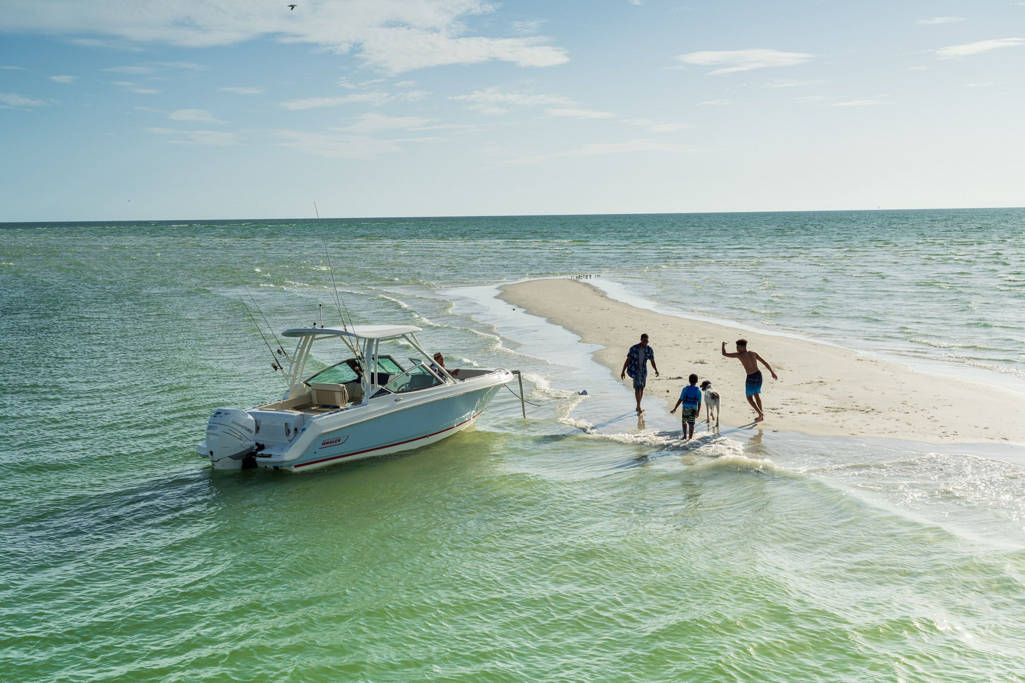 Boston Whaler 240 Vantage