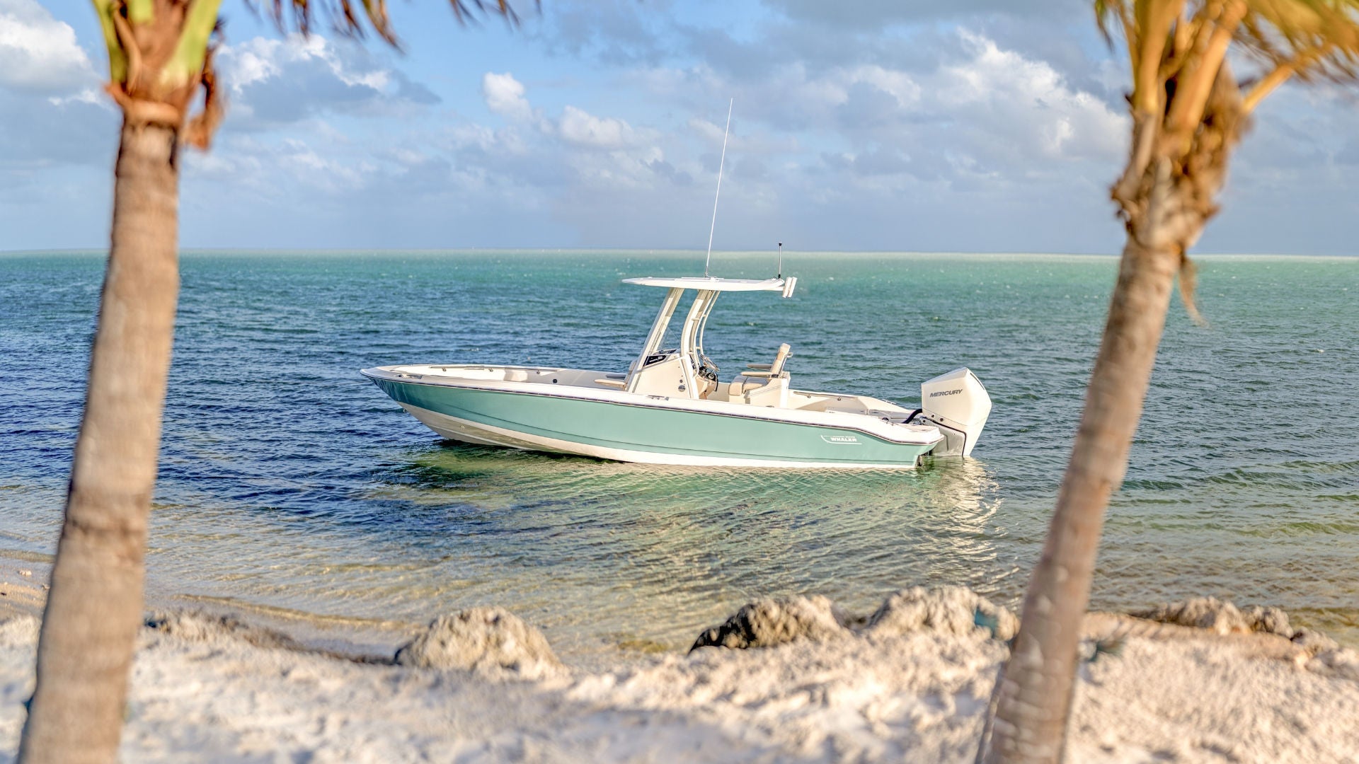 Boston Whaler 250 Dauntless