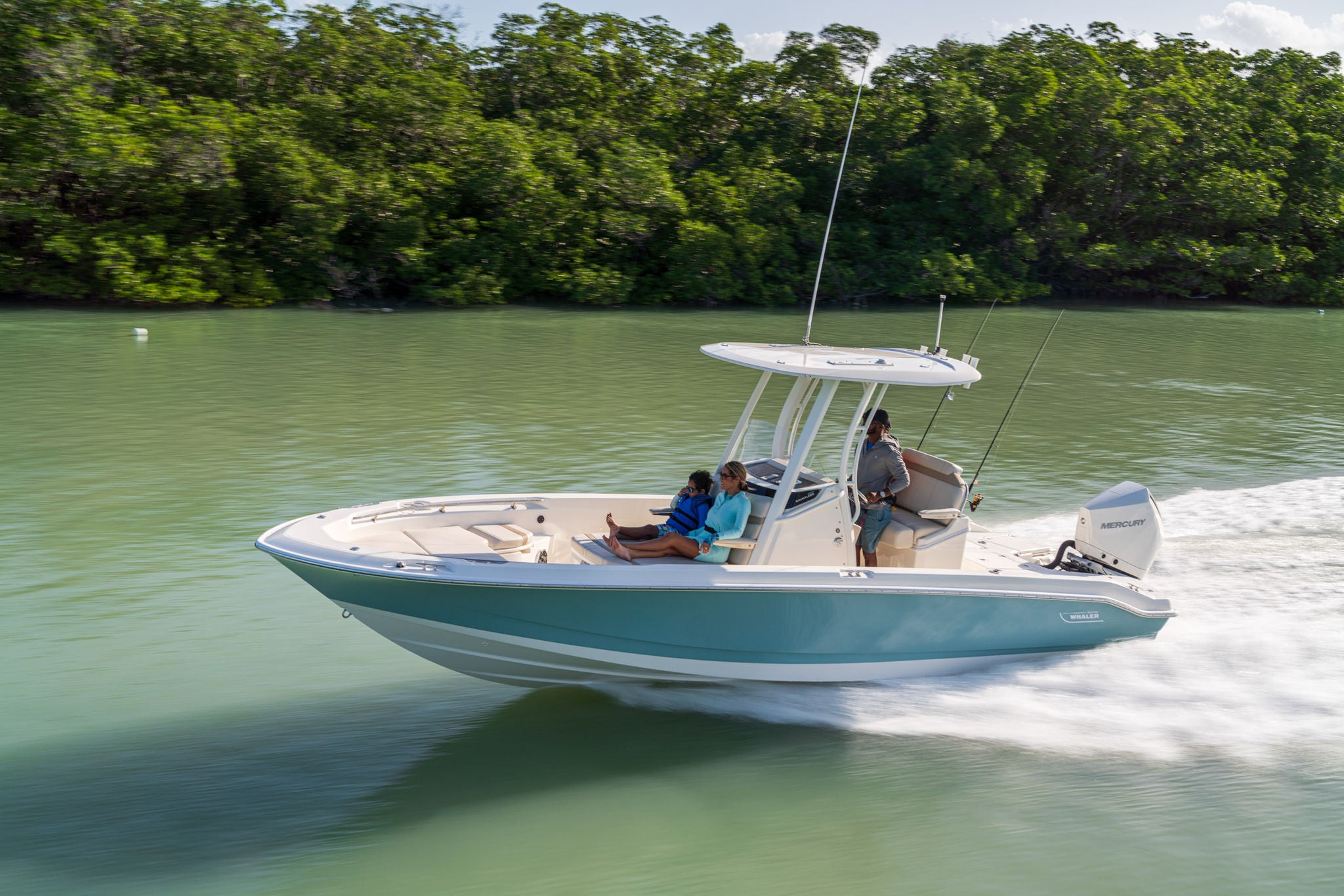 Boston Whaler 250 Dauntless