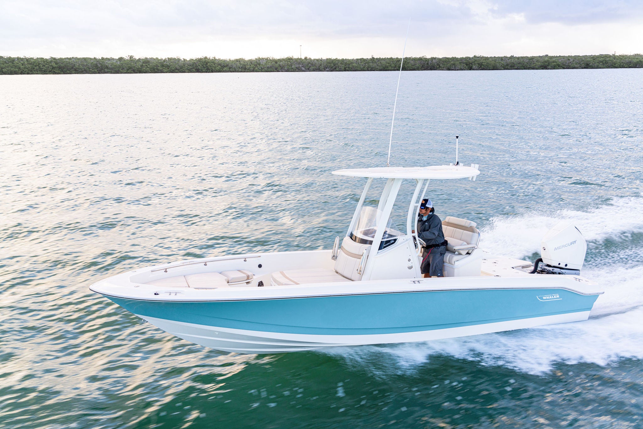 Boston Whaler 250 Dauntless Lifestyle
