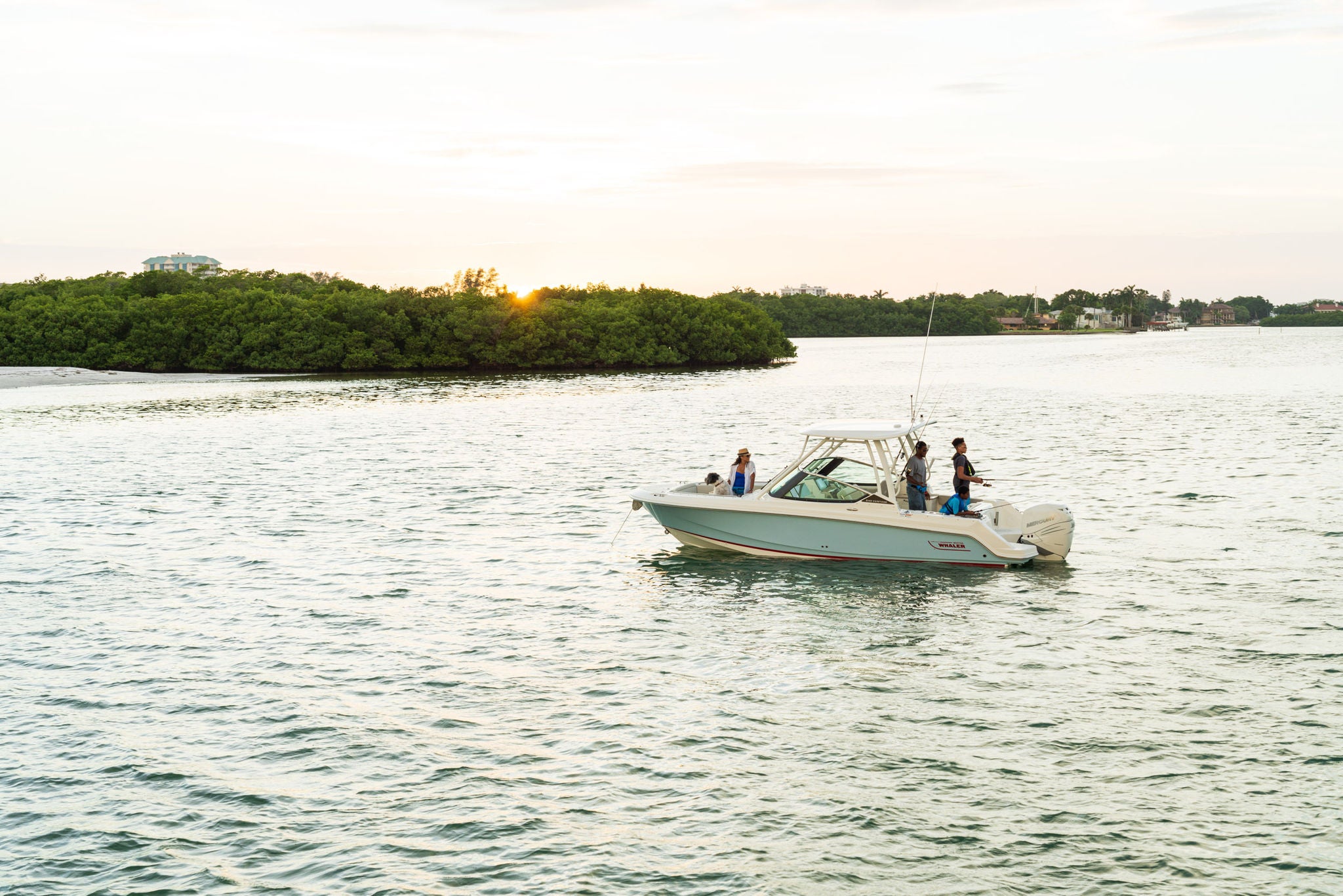 Boston Whaler 240 Vantage