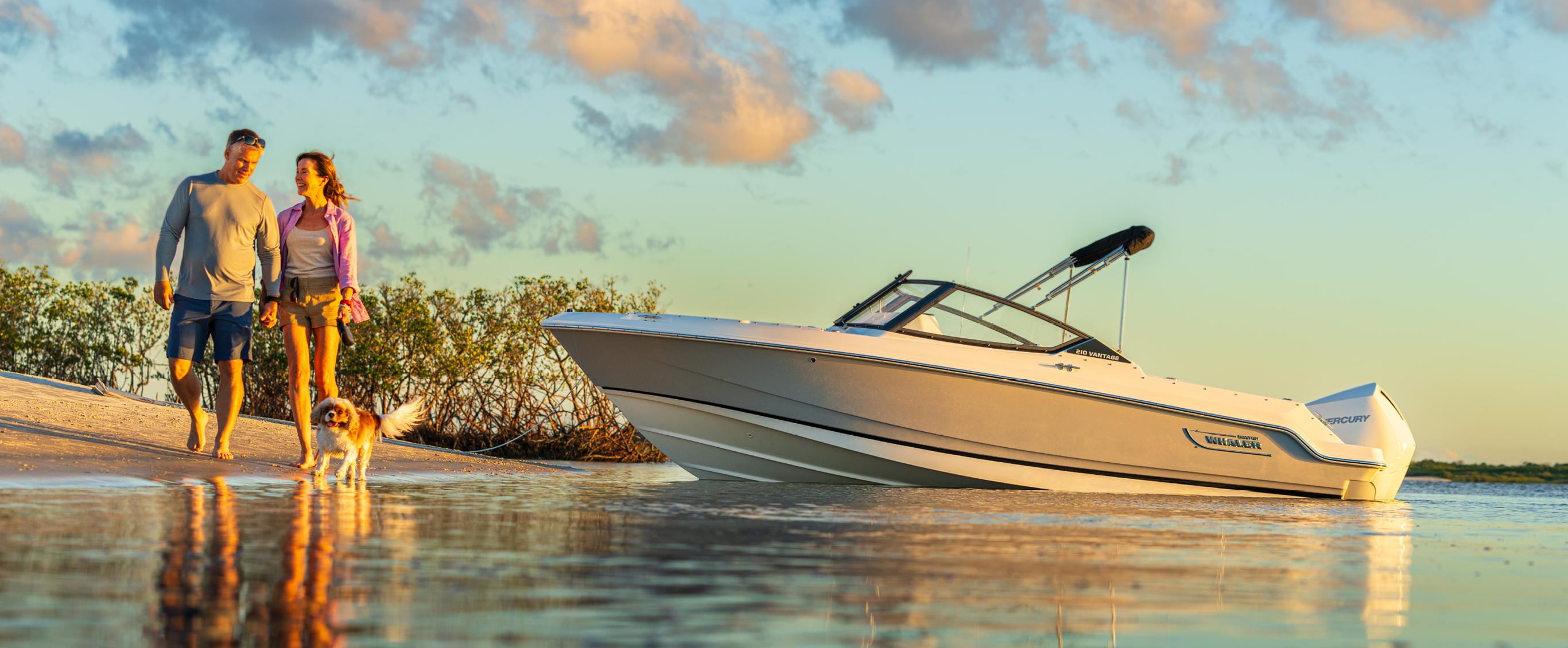 Boston Whaler 210 Vantage